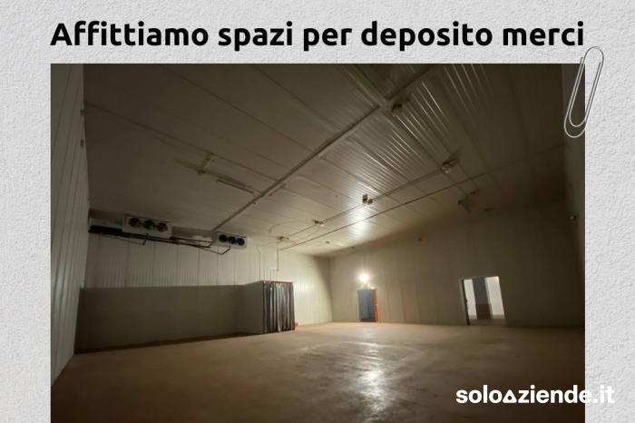 Affitto Fabbricati industriali - Capannoni SPAZI PER DEPOSITO MERCI IN AFFITTO a Pero (MI)